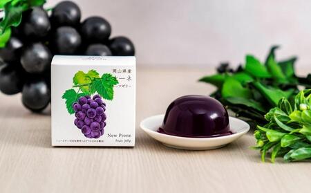 岡山県産フルーツ ゼリー （清水白桃、マスカット、ニューピオーネ、中山金桃）詰合せ 9個入り  | ゼリー