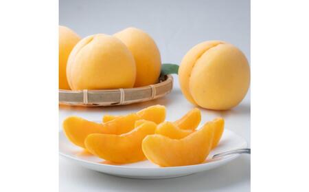 2026年  ご家庭用　岡山県産　黄金 桃 1.5kg（5～6玉） ｜ 桃