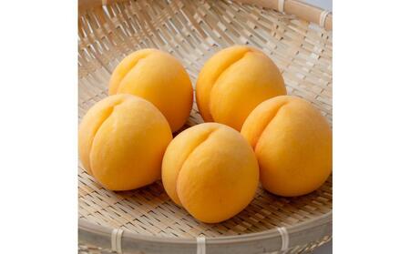 2026年  ご家庭用　岡山県産　黄金 桃 1.5kg（5～6玉） ｜ 桃