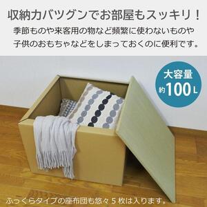 畳スツール ダンボール製 畳ベンチ 小上がり収納 組立簡単 国産 い草 約60×60×高さ42cm 1セット