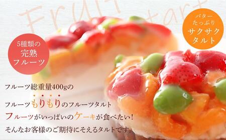 フルーツ鬼盛り！大満足フルーツタルト 5号＜フレッシュタルトのお店STYLE＞