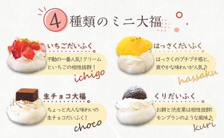 クリームだいふく 4種 8個 セット＜フレッシュタルトのお店STYLE＞