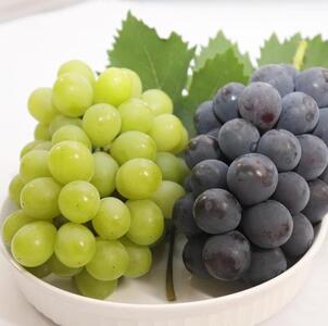 2026年 くぼ農園 ぶどう セレクション 4～5房（合計約3.0kg）｜ ぶどう