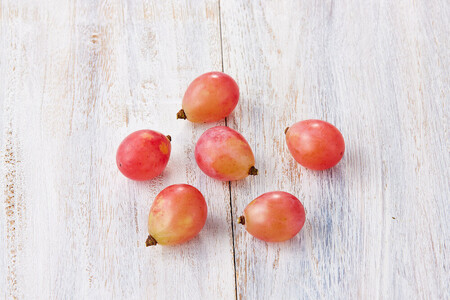 ぶどう 2026年 岡山市産 クイーンニーナ 粒(カップ)100g×12 渡邊農園