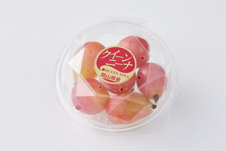 ぶどう 2026年 岡山市産 クイーンニーナ 粒(カップ)100g×12 渡邊農園