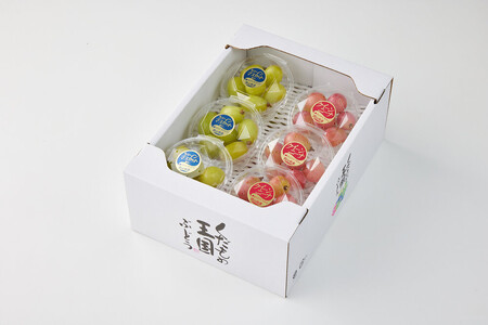 ぶどう 2026年 岡山市産 クイーンニーナ 粒・シャインマスカット 粒（カップ）セット各100g×6  渡邊農園