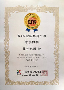 岡山市産 清水白桃 ご家庭用 大玉3玉 ＜2026年7月上旬～8月下旬頃出荷＞