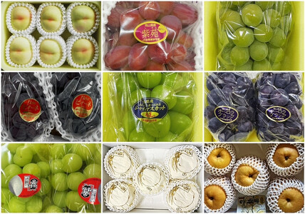 【2026年発送】岡山県産　フルーツ定期便10回コース