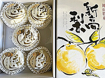 【2026年発送】岡山県産 新高梨 3~6玉 青秀以上 (計約4.0kg)化粧箱入り