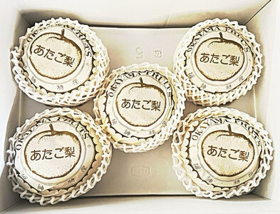 【2026年発送】岡山県産 あたご梨 3～6玉 青秀以上 (計約4.0kg)化粧箱入り