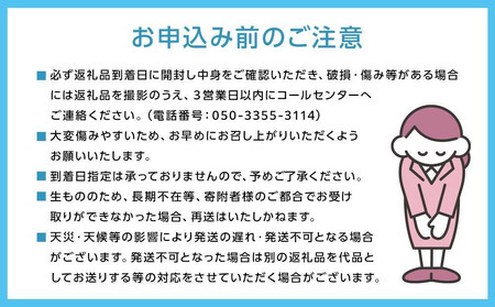 厳選 藤稔 1.0kg以上 2房 朝採れ ぶどう 葡萄 Kawahara Green Farm 岡山県産 2026年
