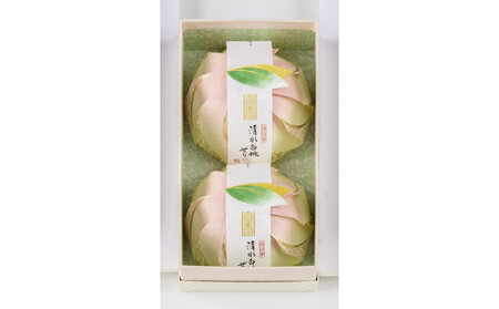 〈宗家 源吉兆庵〉清水白桃ぜりぃ2個入〈高島屋選定品〉