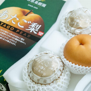 梨 2026年  あたご梨 3玉（約500g玉） 化粧贈答箱赤秀【ナシ なし 岡山県産 国産 フルーツ 果物 ギフト 石原果樹園】