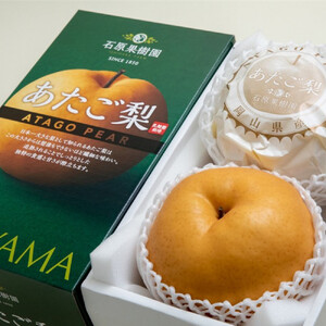 梨 2026年  あたご梨 2玉（約720g玉） 化粧贈答箱赤秀【ナシ なし 岡山県産 国産 フルーツ 果物 ギフト 石原果樹園】