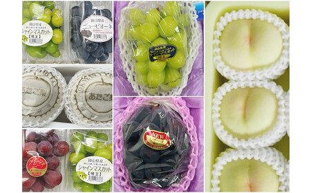 岡山県産 フルーツ定期便全6回＜お一人様向け＞