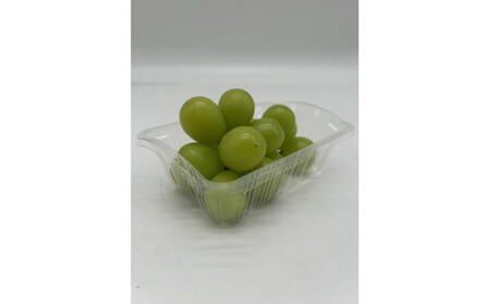 岡山県産 フルーツ定期便全6回＜お一人様向け＞