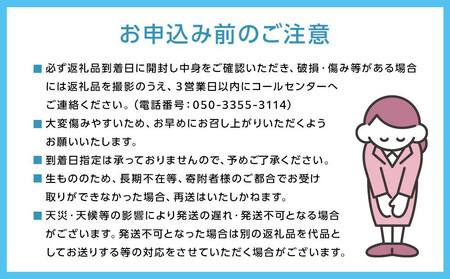 岡山県産 フルーツ定期便全6回＜お一人様向け＞