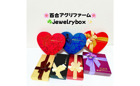 ぶどう2026年シャインマスカット18粒入り化粧箱ゴールド