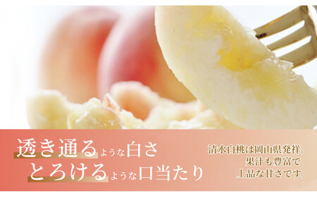 《2026年発送》岡山県産 清水白桃 1.5kg 5～7玉