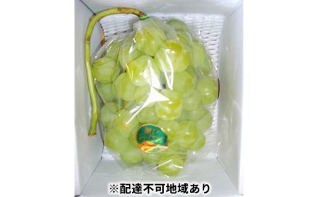 くろせ農園の【ご家庭用】瀬戸ジャイアンツ1房(1房約600g)【配達不可:北海道・沖縄・離島】