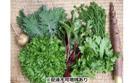 旬の固定種野菜 バイオダイナミック農業 6品目前後（6月～10月のお届け）冷蔵配送