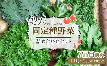 野菜［2025年先行予約］旬の固定種野菜 バイオダイナミック農業 7品目前後（11月～2月のお届け）常温配送