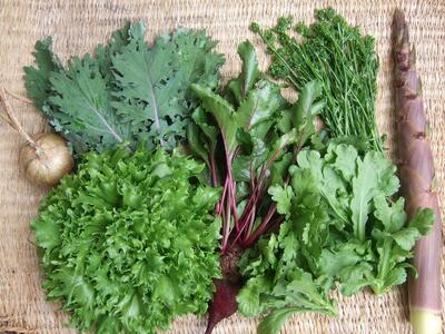 野菜［2025年先行予約］旬の固定種野菜 バイオダイナミック農業 7品目前後（11月～2月のお届け）常温配送