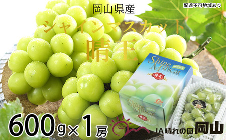 シャインマスカット 晴王 約600g×1房 岡山県産