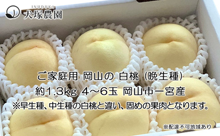 固めの 桃 2024年 先行予約 ご家庭用 岡山 の 白桃 （晩生種）約1.3kg