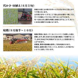 お買い得低価平成29年度米キヌムスメ30kg 米/穀物
