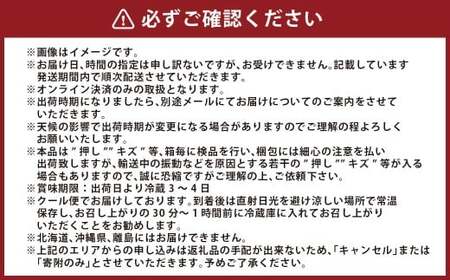 黄金桃（6玉 約1.4kg、ロイヤル級 1玉 240g以上）【2026年9月上旬～9月下旬 発送予定】【黄金桃 桃 もも モモ 果物 フルーツ 岡山県 倉敷市 おすすめ 人気】