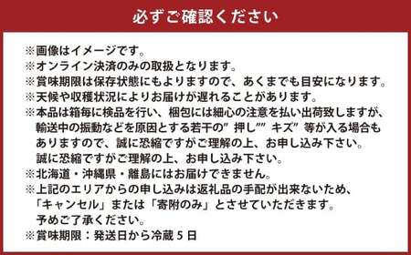 岡山県産 シャインマスカット 晴王 1房 約650g【2026年9月上旬-10月下旬 発送予定】｜種無し 皮ごと食べる フレッシュ 先行予約 ハレノフルーツ