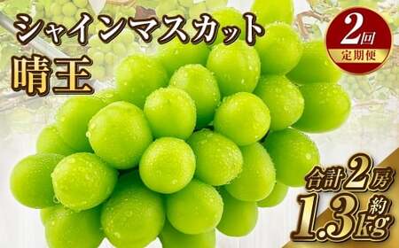 【定期便 全2回／2026年9・10月発送】 岡山県産シャインマスカット 晴王 1房 約650g ｜2回定期便 9月・10月に１回づつお届け 種無し 皮ごと食べる 旬の美味しさ フレッシュ 先行予約 ハレノフルーツ