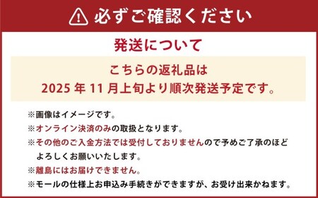 岡山県産 コールマン（冬ぶどう） 1房（約600g） フルーツ 果物 くだもの 食品 人気 おすすめ 送料無料 岡山県 倉敷市 【2025年11月上旬-12月下旬迄発送予定】