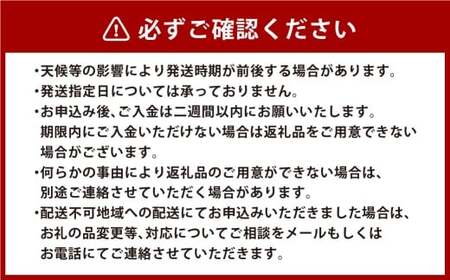 岡山県産 コールマン（冬ぶどう） 1房（約600g） フルーツ 果物 くだもの 食品 人気 おすすめ 送料無料 岡山県 倉敷市 【2025年11月上旬-12月下旬迄発送予定】
