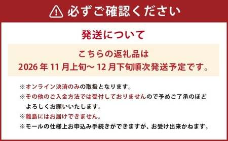 岡山県産 コールマン(冬ぶどう)2房(約1.2kg) フルーツ 果物 くだもの 食品 人気 おすすめ 送料無料 岡山県 倉敷市 【2026年11月上旬~12月下旬まで発送予定】