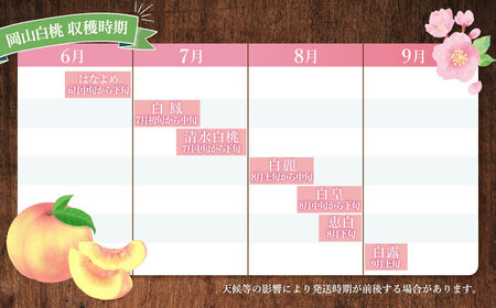【訳あり】岡山白桃（家庭用）1.2kg以上  サイズ不揃い【2026年7月上旬～9月上旬まで順次発送予定】 もも 桃 モモ 4～7玉 フルーツ 果物 岡山県 倉敷市
