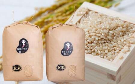 備前乙女米 玄米 10kg×2袋 合計20kg 米 お米 コメ 特A 岡山県 倉敷市【2025年11月下旬～2026年9月下旬発送予定】