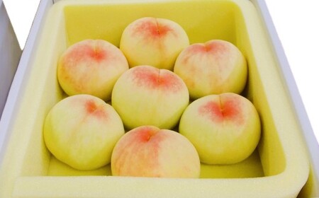 清水白桃 2キロ【2026年7月上旬~7月下旬 発送予定】