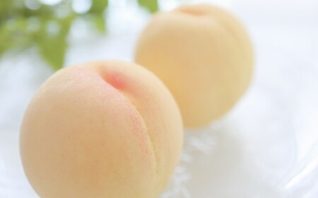 【秀品】清水白桃 3.8キロ【2026年7月上旬～7月下旬 発送予定】