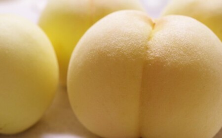 【訳アリ家庭用】清水白桃 3.6キロ【2026年7月上旬~7月下旬 発送予定】