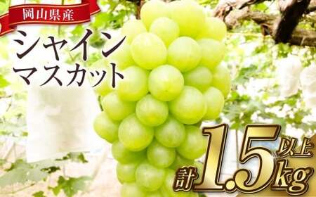 岡山シャインマスカット 2～4房 1.5キロ以上【2026年9月上旬～10月下旬まで順次発送予定】【シャインマスカット シャイン マスカット 人気フルーツ 岡山フルーツ おすすめフルーツ 岡山県 倉敷市】