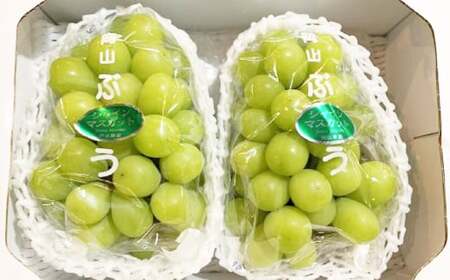 岡山シャインマスカット 2～4房 1.5キロ以上【2026年9月上旬～10月下旬まで順次発送予定】【シャインマスカット シャイン マスカット 人気フルーツ 岡山フルーツ おすすめフルーツ 岡山県 倉敷市】