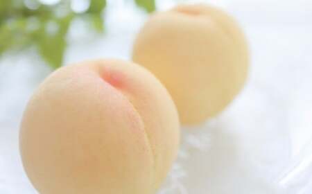 清水白桃 3.6キロ【2026年7月上旬～7月下旬まで順次発送予定】