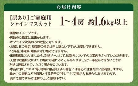 【訳あり】ご家庭用シャインマスカット 1～4房（約1.6kg以上）【2026年9月上旬～10月下旬まで発送予定】 訳あり 自宅用 マスカット ぶどう 種なし 冷蔵 岡山県 倉敷市