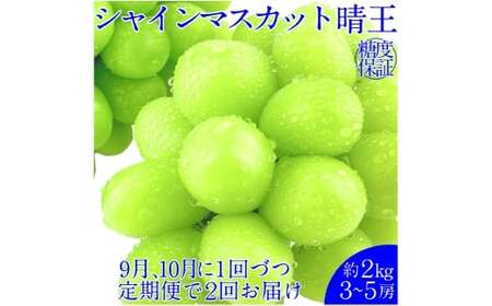 【2回定期便】シャインマスカット 晴王 約2kg（3～5房） ２回 定期便  9月・10月に1回ずつ発送 岡山県産 種無し 皮ごと食べる みずみずしい 甘い フレッシュ【2026年9月上旬発送開始】【岡山県産 種無し 皮ごと食べる みずみずしい 甘い フレッシュ 9月～10月発送 晴れの国 おかやま ぶどう 葡萄 マスカット 果物大国 彩美菜果 岡山県 倉敷市 おすすめ 人気】