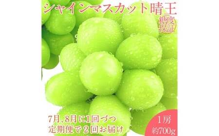 シャインマスカット 晴王 1房 約700g 【先行予約：2026年7月上旬～8月下旬発送予定2回定期便】 岡山県産 種無し 皮ごと食べる みずみずしい 甘い フレッシュ 温室栽培 瀬戸内 晴れの国 おかやま 果物大国 満天フルーツ 定期便 冷蔵 岡山県 倉敷市