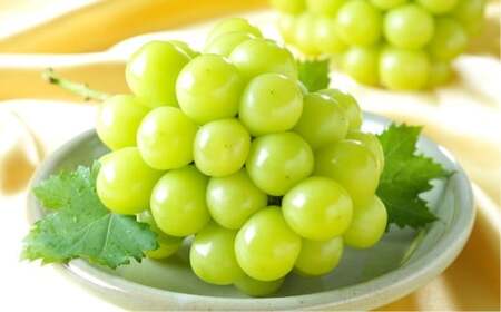 ご家庭用 シャインマスカット 晴王 約400g×1房【2026年8月下旬～11月下旬まで順次発送予定】 マスカット 葡萄 ぶどう ブドウ 果物 フルーツ 岡山県 倉敷市