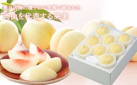 岡山白桃 ロイヤル4～8玉 約1.2kg 岡山県産 【2026年7月上旬～8月下旬まで順次発送予定】 モモ もも 桃 白桃 果物 フルーツ 岡山県 倉敷市