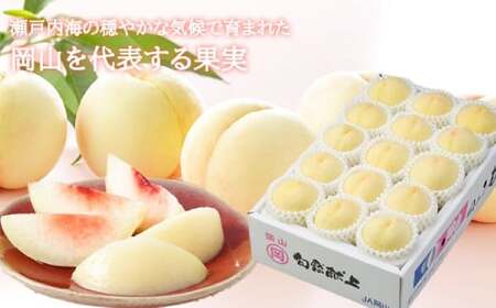 岡山白桃 ロイヤル 8～16玉 約4kg 岡山県産 【2026年7月上旬～8月下旬まで順次発送予定】 モモ もも 桃 白桃 果物 フルーツ 岡山県 倉敷市